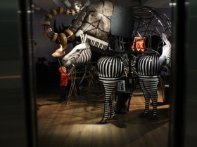 photo_album - 22